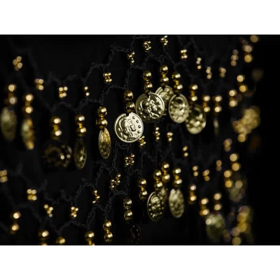 Belly Dance Hip Scarf with 128 Gold Coins, Mardi Gras Carnival Performance Belt Costume