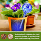 4 pcs Self-Watering Glass Plant Watering Balls