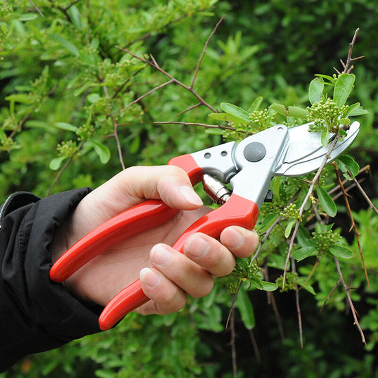 Left-Handed Secateurs, Side-Cutting, 25 mm x 210 mm x 65 mm