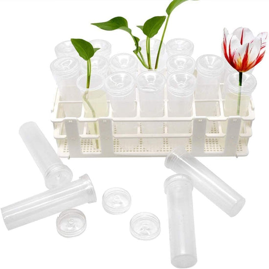 21 Pack 60ml Large Floral Tubes with Rack Holder for Milkweed Cuttings, Raising Caterpillars, Monarchs, Butterflies, Flower Arrangements