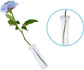 21 Pack 60ml Large Floral Tubes with Rack Holder for Milkweed Cuttings, Raising Caterpillars, Monarchs, Butterflies, Flower Arrangements