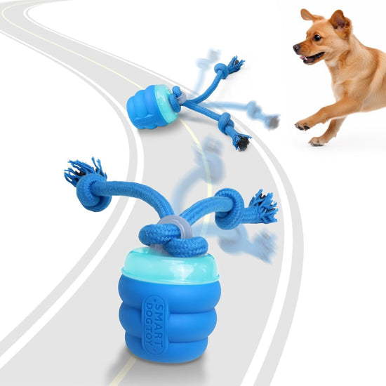 Interactive Dog Toys with Motion Activated, Squeaky Dog Toy Active Rolling Ball Wicked Ball for Daily Training  BLUE