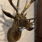 Frankie Stag Animal Resin Hanging Ornament Wall Art Gift