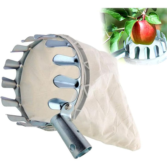 Fruit Picker, 1 Fruit Collector, Metal Fruit Picker, Fruit Picker With Bag, Cherry Picker, Diameter 16 Cm, For Picking