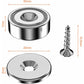 12 pcs Neodymium Magnets 10Kg Force 20 X 7Mm With Hole And Capsule, Countersunk Pot Magnet With Screws And 12 Steel