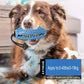 Dog Chew Toy, Educational Dog Toy, Heavy Duty Rubber, Blue - Biting, Chasing And Fetching Toy - For Medium Dogs And
