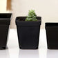 50 pcs Black Seedling Pot - Square Plastic Plant Pots - Small Indoor Outdoor Flower Pot (Black/ 6X6X6.5Cm)