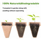 10 Pack Peat Pots, 100 Cells Biodegradable Seedling Starter Kit For Indoor Outdoor, Includes 10 Plastic Plant Labels