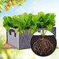 Grow Bag, 3 Pack Rectangular Black Non-Woven Planting Bags With Handle, Indoor Outdoor Grow Bags Planting Pot For