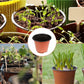 100 pcs 10Cm(Diameter) Soft Plastic Seed Pot Seedling Pot Seedling Pot