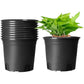 10 pcs Plastic Flower Pots, 16Cm Thicken Plant Pots Plant Container Indoor Gardening Pot (Black)