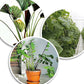 200X Green Plastic Plant Binder - Stabilize Plants - Plant Clips - Plant Stake Clip (13 Cm)