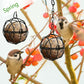 4 pcs Hanging Bird Feeders Metal Bird Fat Ball Holder Indoor Outdoor Black 7Cm Diameter Food Dispenser With 4 S-Shaped