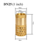 1 Inch Pump Check Valve - Foot Valve Strainer Check Valve (1 Inch)