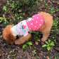 Dog Coat - Dog Sweater - Classic Turtleneck Knit Dog Sweater - Warm Winter Dog Clothes - Cute Strawberry Heart Pattern - Perfect for Small and Medium Dogs - Pink - Size XL