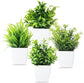 4-Pack Artificial Plants with Pot for Living Room and Office Decoration, 17x12 cm