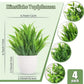 4-Pack Artificial Plants with Pot for Living Room and Office Decoration, 17x12 cm