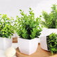 4-Pack Artificial Plants with Pot for Living Room and Office Decoration, 17x12 cm