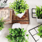 4-Pack Artificial Plants with Pot for Living Room and Office Decoration, 17x12 cm