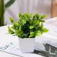 4-Pack Artificial Plants with Pot for Living Room and Office Decoration, 17x12 cm