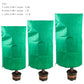 3-Pack Reusable Winter Plant Protection Covers with Drawstring for Outdoor Plants Fruit Trees Potted Plants, 80x120cm, Green