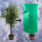 3-Pack Reusable Winter Plant Protection Covers with Drawstring for Outdoor Plants Fruit Trees Potted Plants, 80x120cm, Green