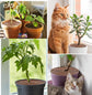 2-pack Brown Pot Covers, Waterproof and Cuttable, Prevents Pets from Digging, Compatible with Indoor and Outdoor Gardens, S