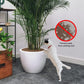 2-pack Waterproof Cuttable Pot Covers, Prevents Pets from Digging, Compatible with Indoor and Outdoor Gardens, Black, S