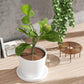 2-Pack Waterproof Cuttable Pot Covers, Prevents Pets from Digging, for Indoor and Outdoor Gardens, L, Brown