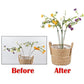 10-Pack 12-Inch Plant Support Stakes for Potted Plants, Compatible with All Brands