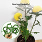 10-Pack 12-Inch Plant Support Stakes for Potted Plants, Compatible with All Brands