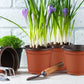 100pcs Reusable Plastic Planting Pots for Indoor and Outdoor Flower Growing, 110mm