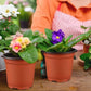 100pcs Reusable Plastic Planting Pots for Indoor and Outdoor Flower Growing, 110mm