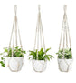 3 pcs Bohemian Plant Hanger for Indoor Plants with Braided Rope Beads and Lace Decoration, 35 Inch, White