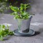 Round Flowerpot Mover - 19.3 Cm - Rolling Plant Pallet - Round Dark Grey Saucer With 4 Wheels - Plant Stand Planter Caddies - For Moving Potted Planters - For Garden, Patio, Courtyard, Terrace - Load Capacity 40 Kg - 1 Piece