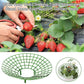 Strawberry Plant Support Cages, 10 pcs Climbing Rack Frame Holder for Balcony Garden Planting, Fruit Support