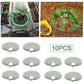 Strawberry Plant Support Cages, 10 pcs Climbing Rack Frame Holder for Balcony Garden Planting, Fruit Support