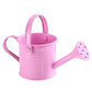 100% New, Mini Iron Watering Can, Spray Bottle, Metal Forging with Handle, Sprinkler Shower Pink