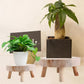 Wooden Plant Stand Bonsai Display Holder Indoor Outdoor Garden Decor