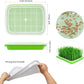 8-Pack Seed Sprouter Tray Microgreens Growing Trays BPA Free Seed Germination Propagation Soil-Free Wheatgrass Bean Nursery Tray with Planting Paper for Indoors or Outdoors