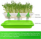 8-Pack Seed Sprouter Tray Microgreens Growing Trays BPA Free Seed Germination Propagation Soil-Free Wheatgrass Bean Nursery Tray with Planting Paper for Indoors or Outdoors