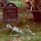 Halloween Skeleton Life Size, Full Body with Movable Joints, Human Legs, Scary Halloween Skeleton Decoration for Halloween Party, Haunted House Accessories