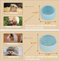 4 Pack Small Hamster Food Bowl Ceramic Guinea Pig Food Dish No Spill Hamster Food and Water Bowl Small Animal Food Bowl for Chinchilla Hedgehog Hamster Gerbil - Pink Blue Yellow and Green