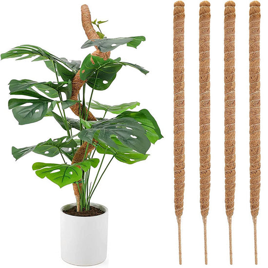 4 pcs Monstera moss rods for indoor plants, bendable plant holder