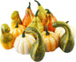 12 Pcs Artificial Pumpkins and Gourds Set, Small Faux Foam Pumpkins Artificial Vegetables for Halloween Fall Thanksgiving Party Table Decoration Supply (12pcs)