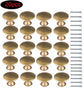 Cabinet Door Handles - Brass Door Handles - Antique Brass Handles - Cabinet Handles - 20 Items