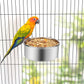 Pet Food Bowl - Stainless Steel Food Bowl - Hanging Food Bowl - with Clip Holder - Suitable for dogs, birds, parrots, cats and rabbits.