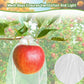 Garden Tools - 20 Items - Fruit Protection Bags - White Fruit Protection Bags with Drawstring - Garden Net Bags - Suitable for Grapes - Prevent Wasps, Cherry Vinegar Flies and Other Insects from Eating Them