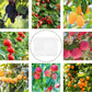 Garden Tools - 20 Items - Fruit Protection Bags - White Fruit Protection Bags with Drawstring - Garden Net Bags - Suitable for Grapes - Prevent Wasps, Cherry Vinegar Flies and Other Insects from Eating Them