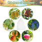 Garden Tools - 20 Items - Fruit Protection Bags - White Fruit Protection Bags with Drawstring - Garden Net Bags - Suitable for Grapes - Prevent Wasps, Cherry Vinegar Flies and Other Insects from Eating Them
